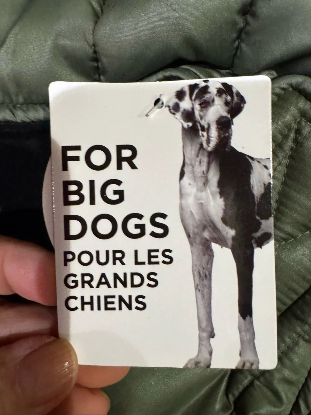 Dog Coat - size 2XL